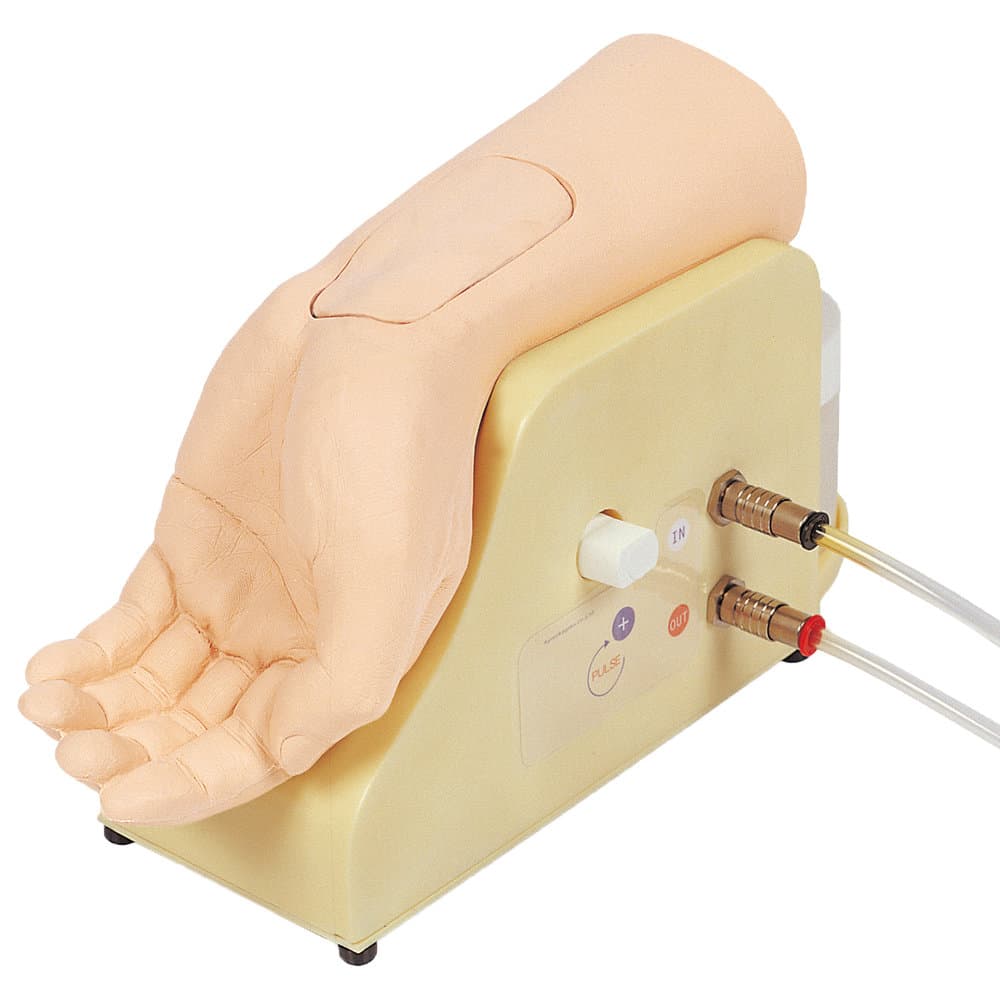 Arterial Puncture Training Wrist - Light Tone