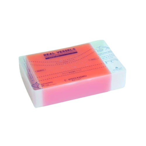 M93B Introductory Ultrasound Training Blocks "REAL VESSEL"