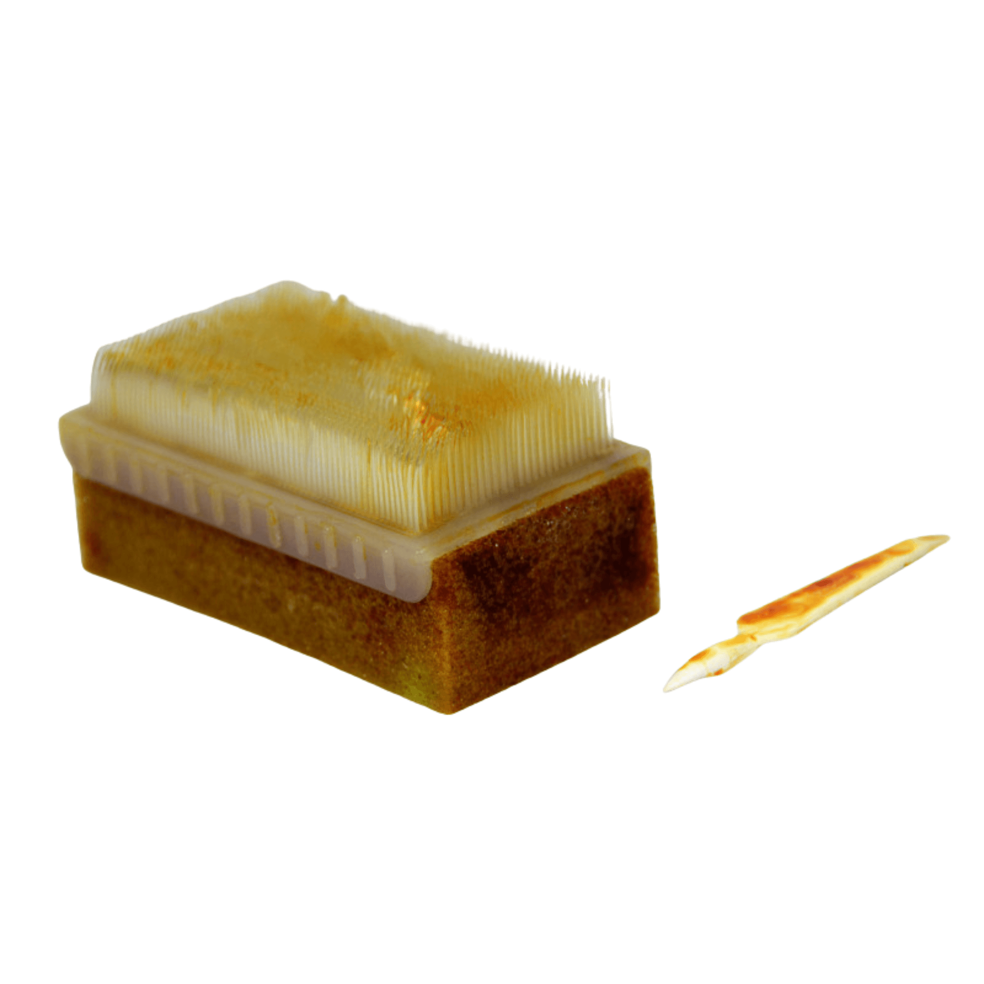Vygon PVP-1.25% Surgical Scrub Brush with Nail Cleaner (25)