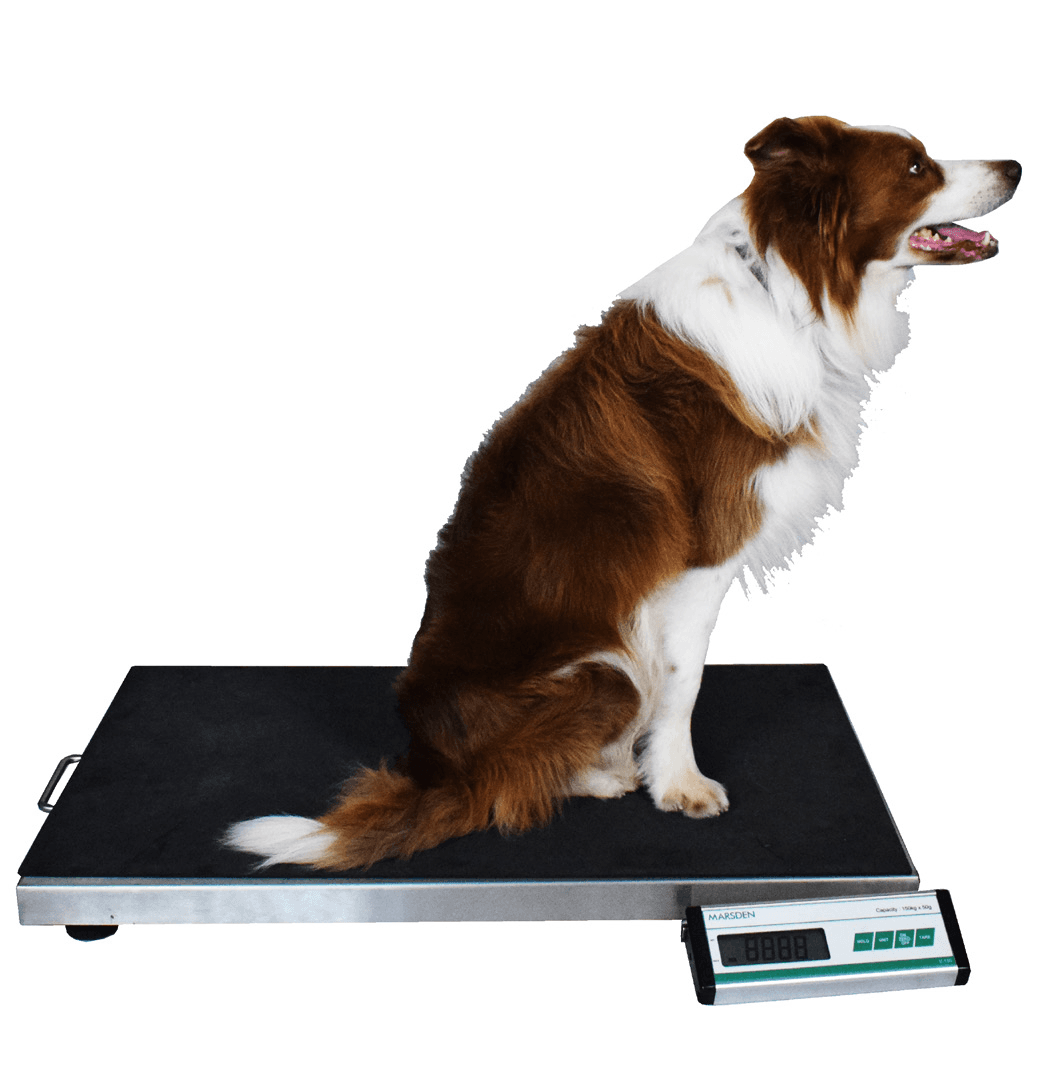 Marsden V-150 Large Veterinary Scale