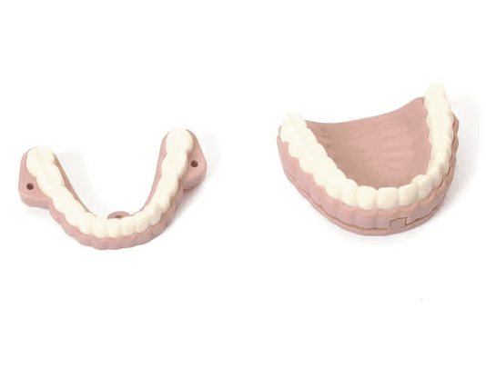 Laerdal Teeth &amp; Audio Signal Device