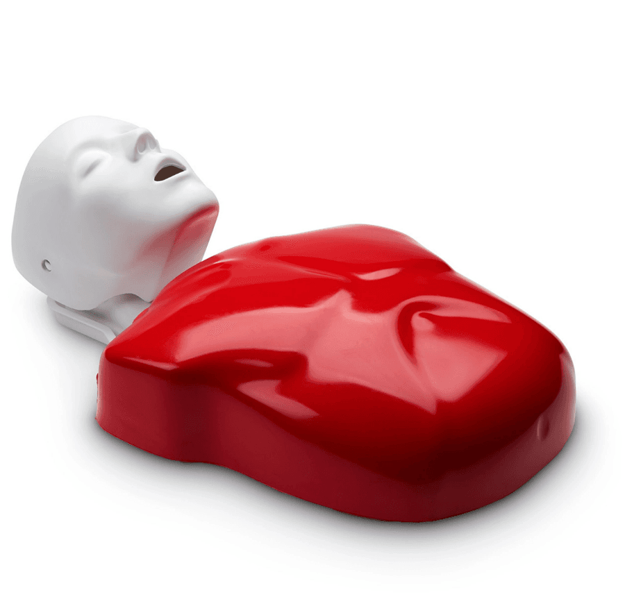 BASIC BUDDY CPR Torso Training (1)